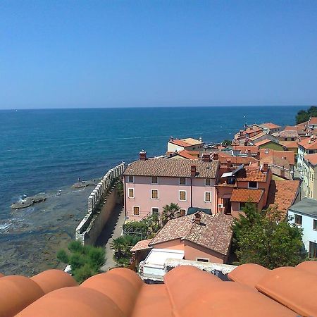 Apartments Edo Novigrad Istria 외부 사진