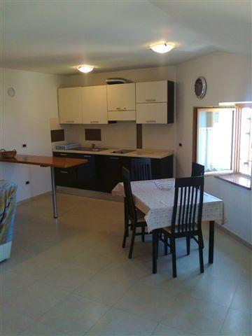 Apartments Edo Novigrad Istria 외부 사진