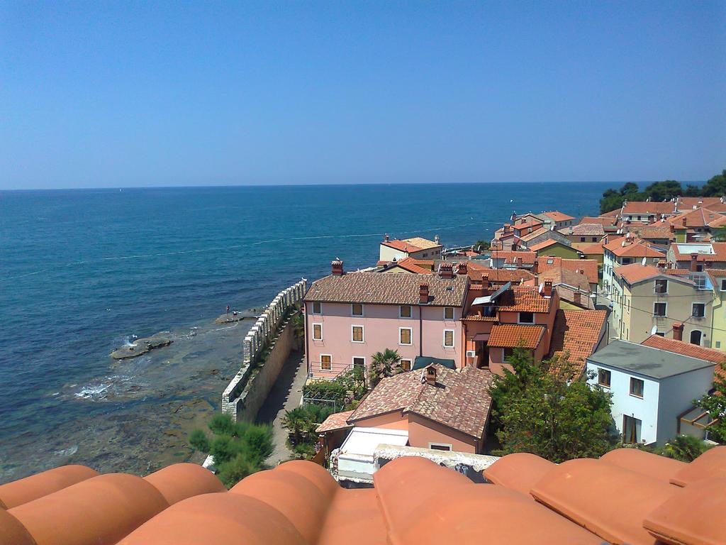 Apartments Edo Novigrad Istria 외부 사진